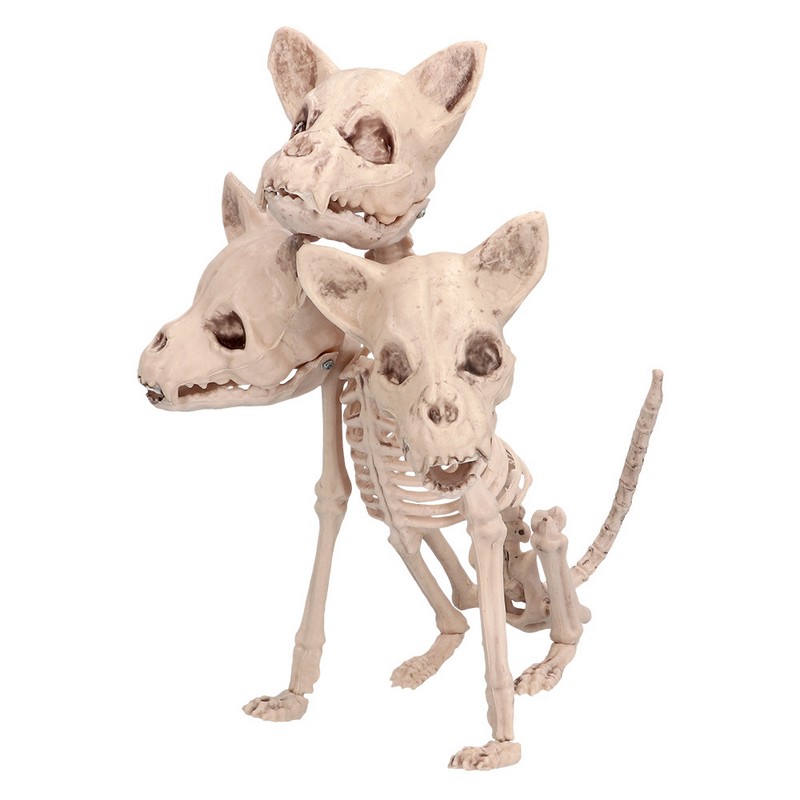 Cerberus Skelet